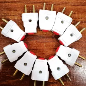 2 pin Plug