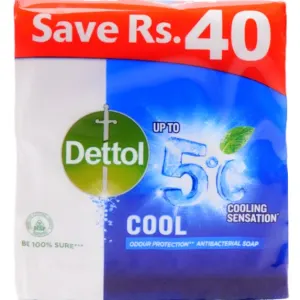 DETTOL 4IN1 COOL 110G