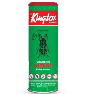 KINGTOX POWDER 125G