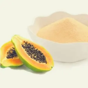 MF PAPAYA POWDER