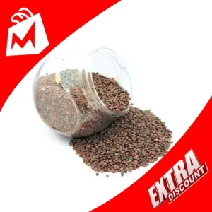 SABAT MASOOR DESI 500G