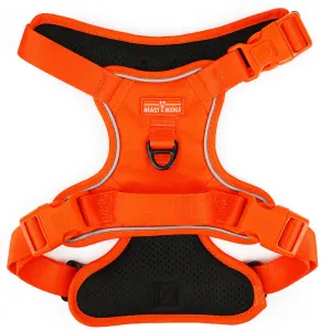 Dog Harness Orange