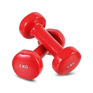 Vinyl Dumbbells - 1 KG
