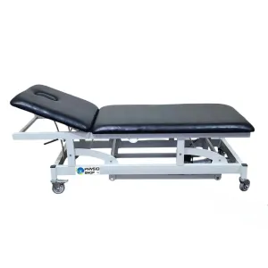 Treatment Couch Electric - 2 Section
