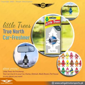 Little Tree Hanging Card Perfume True North U1P-17146