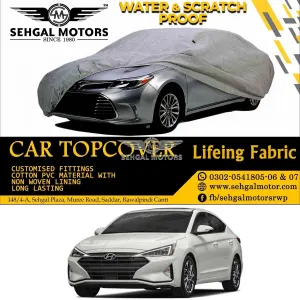 Changan Alsvin Top Cover Lifeing Fabric Model 2020-2021