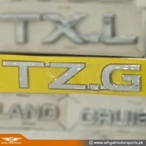 TZG Logo (Chrome)