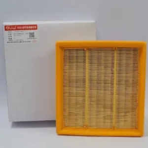 Glory Air Filter