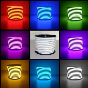 Neon Flexible Strip Light 5m