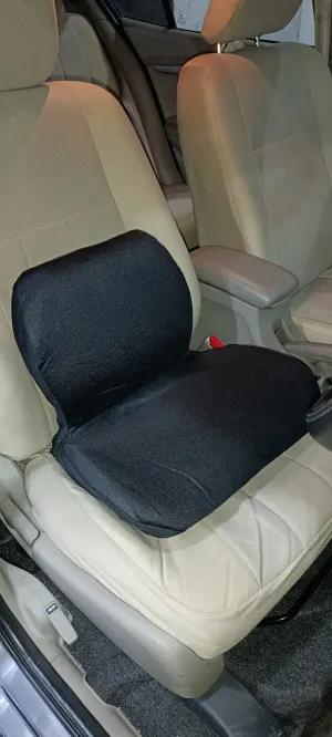 Double Seat Cushion