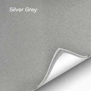Platinum Paint Protection Film (Silver Grey)