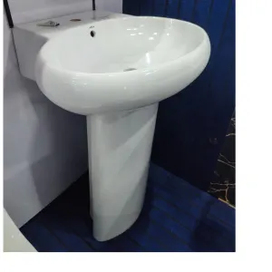 Basin Dolphin White