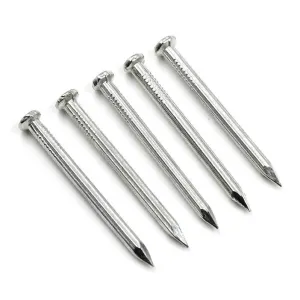 Steel Nail (Keel) 2-1/2