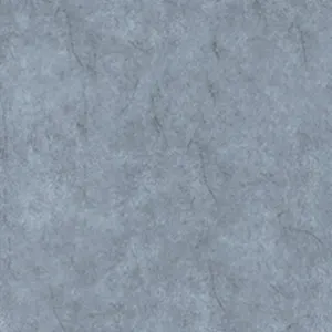 ORM66003