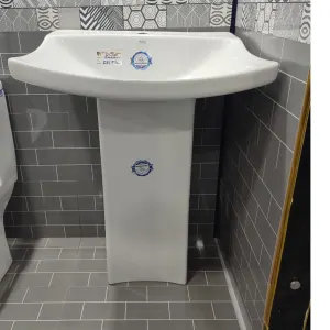 Basin Star/Delta