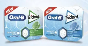 TRIDENT  10 PC 17 GRAM ALL FLAVOR